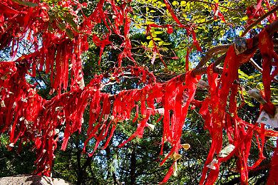 SE新作《春逝百年抄》 官方透露游戏时长为15~20个小时