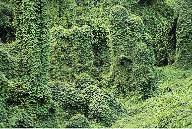 能否扭转局面？《地狱已满2》推出发售后最大规模更新