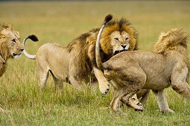 《合金装备3：重制版》收藏者套装公布 不含游戏本体